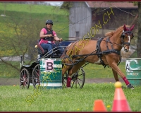 2POSIEUX 0423
